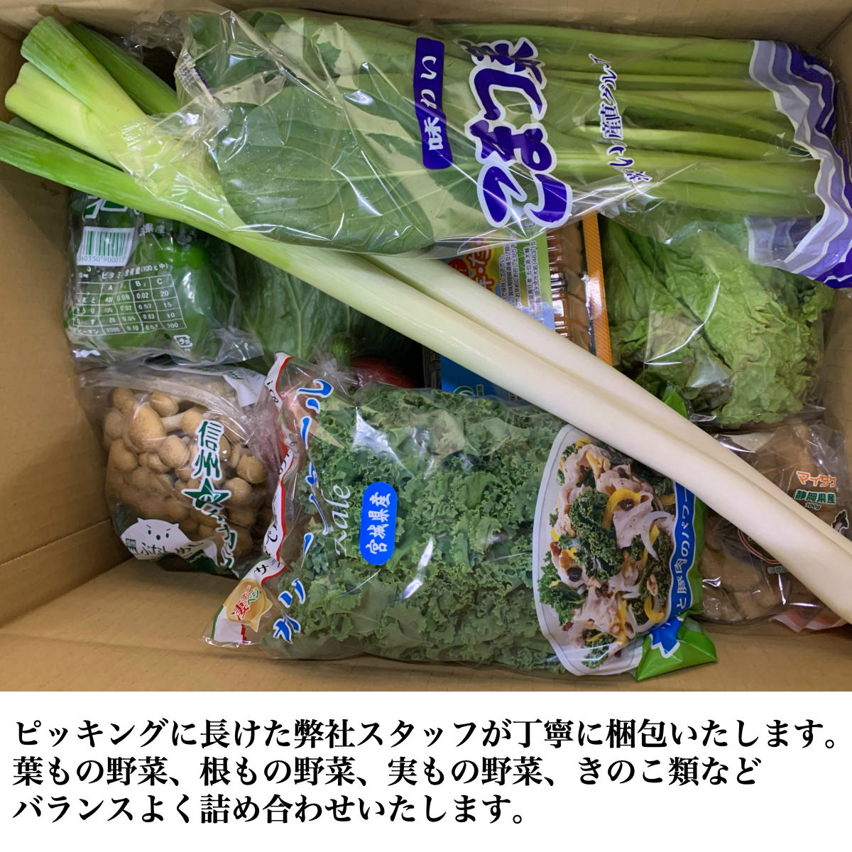 市場 時短食材 通販 九州 お買い得 11品 カット野菜送料込 送料無料 野菜セット 詰め合わせ